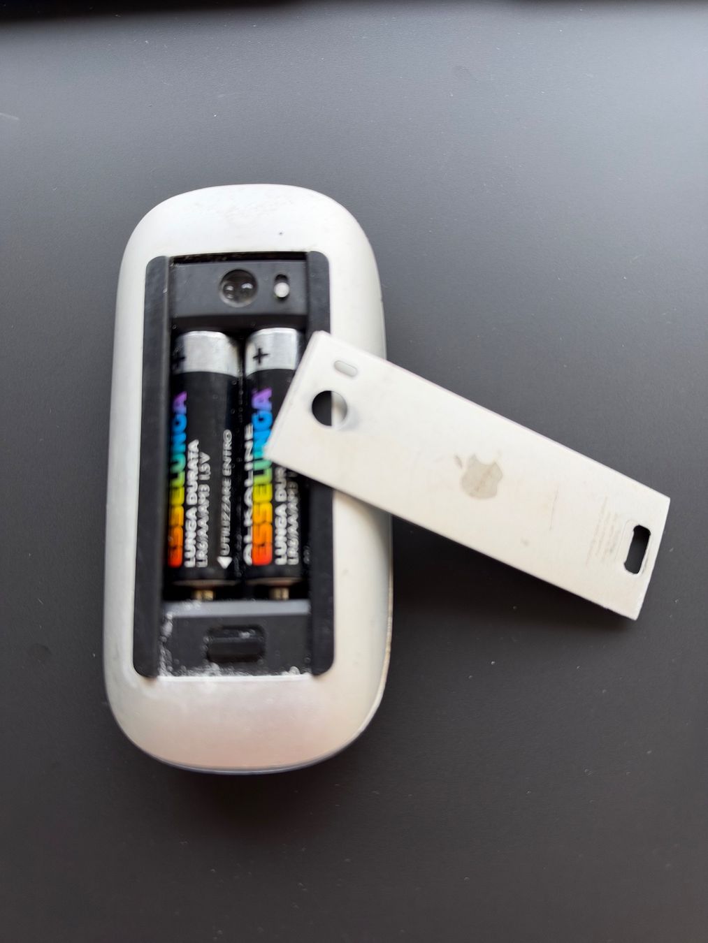 Apple Maus: Apple Mouse – Gebraucht aus Luzern von SibMUAE 1