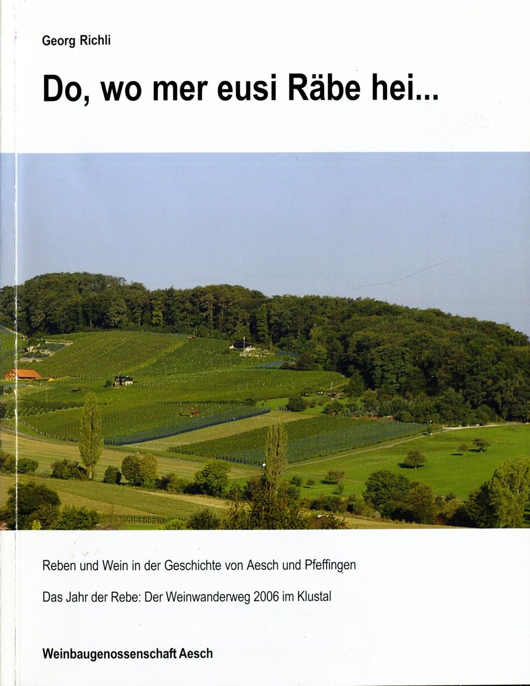 Libri: Aesch, Pfeffingen, Reben und Wein – Usato da Aarau venduto da Elmaar41