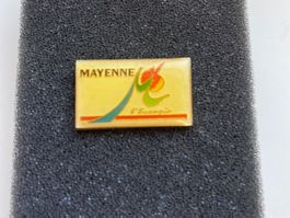 PINS - MAYENNE - L'ENERGIE