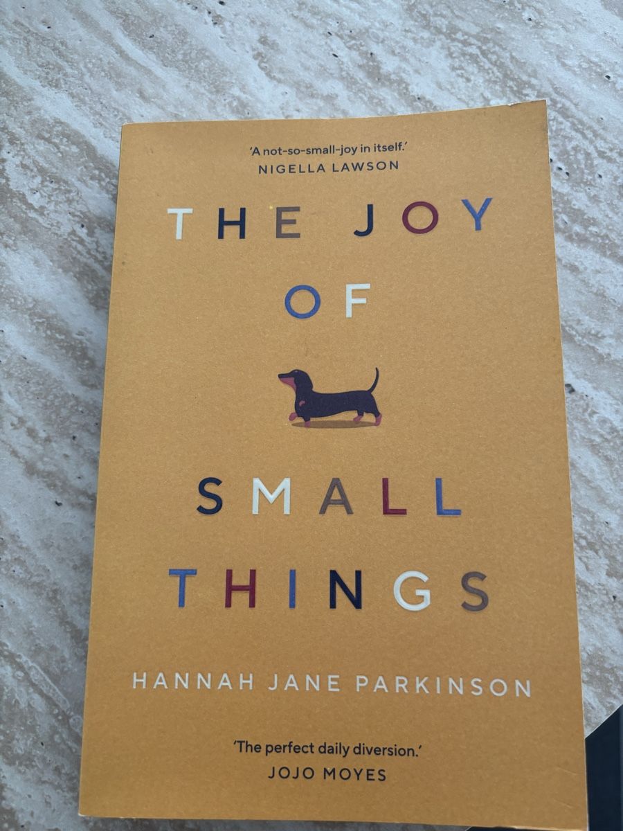 Libri: The Joy of small things – Nuovo (secondo la descrizione) da Kreuzlingen venduto da MFabiana