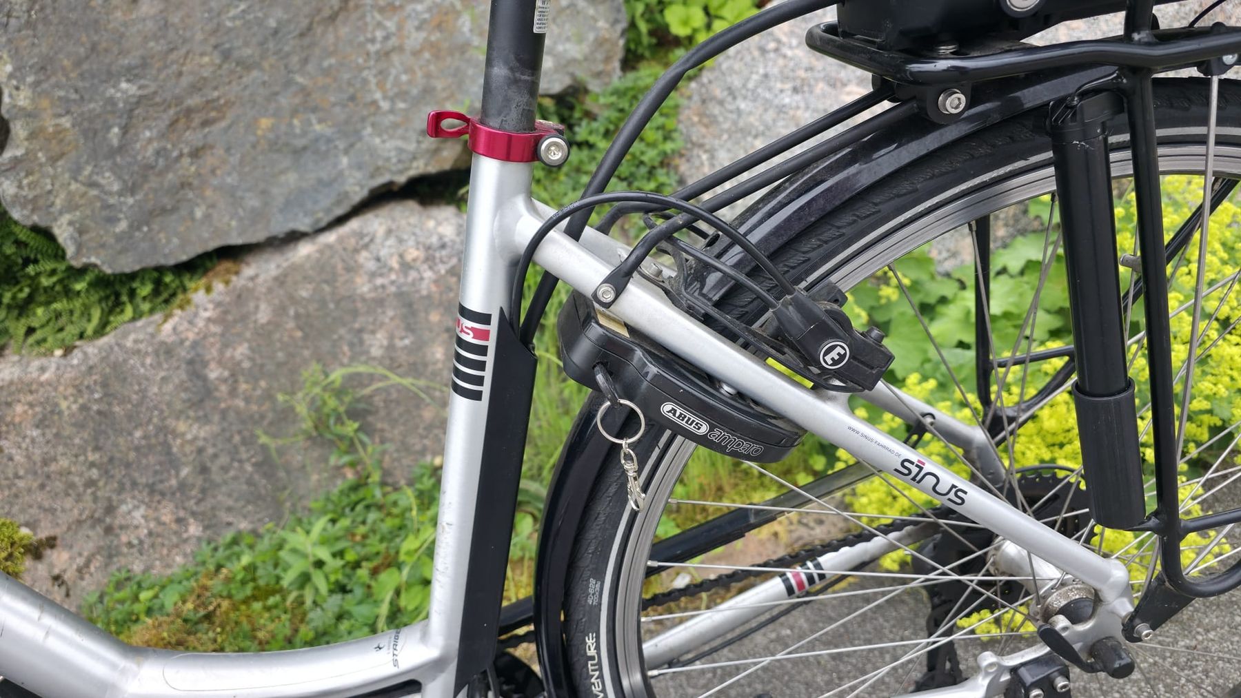 Biciclette: E-Bike Sirius Bosch 5695.5 km mit Korb – Usato da Wädenswil venduto da lobu85 3