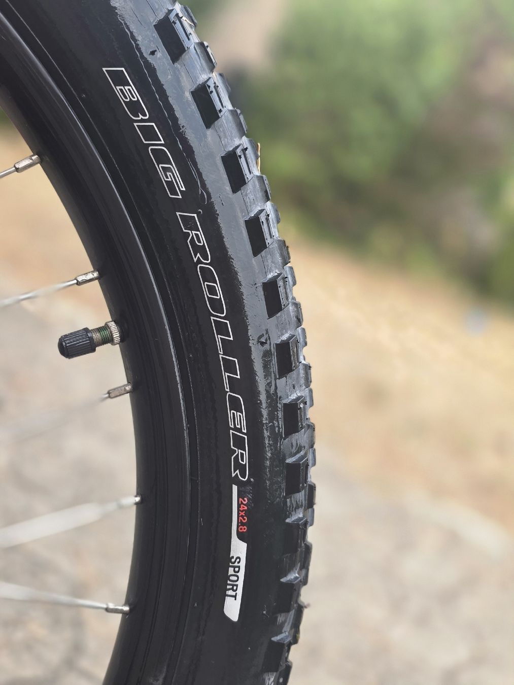 Specialized Biciclette: Specialized Riprock 24 (Kindervelo) – Usato da Jona venduto da yvonne87w 2