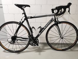 Rennvelo Colnago Arte 53cm