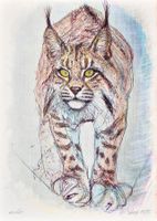 Fritz Hug Lithografie "Luchs"