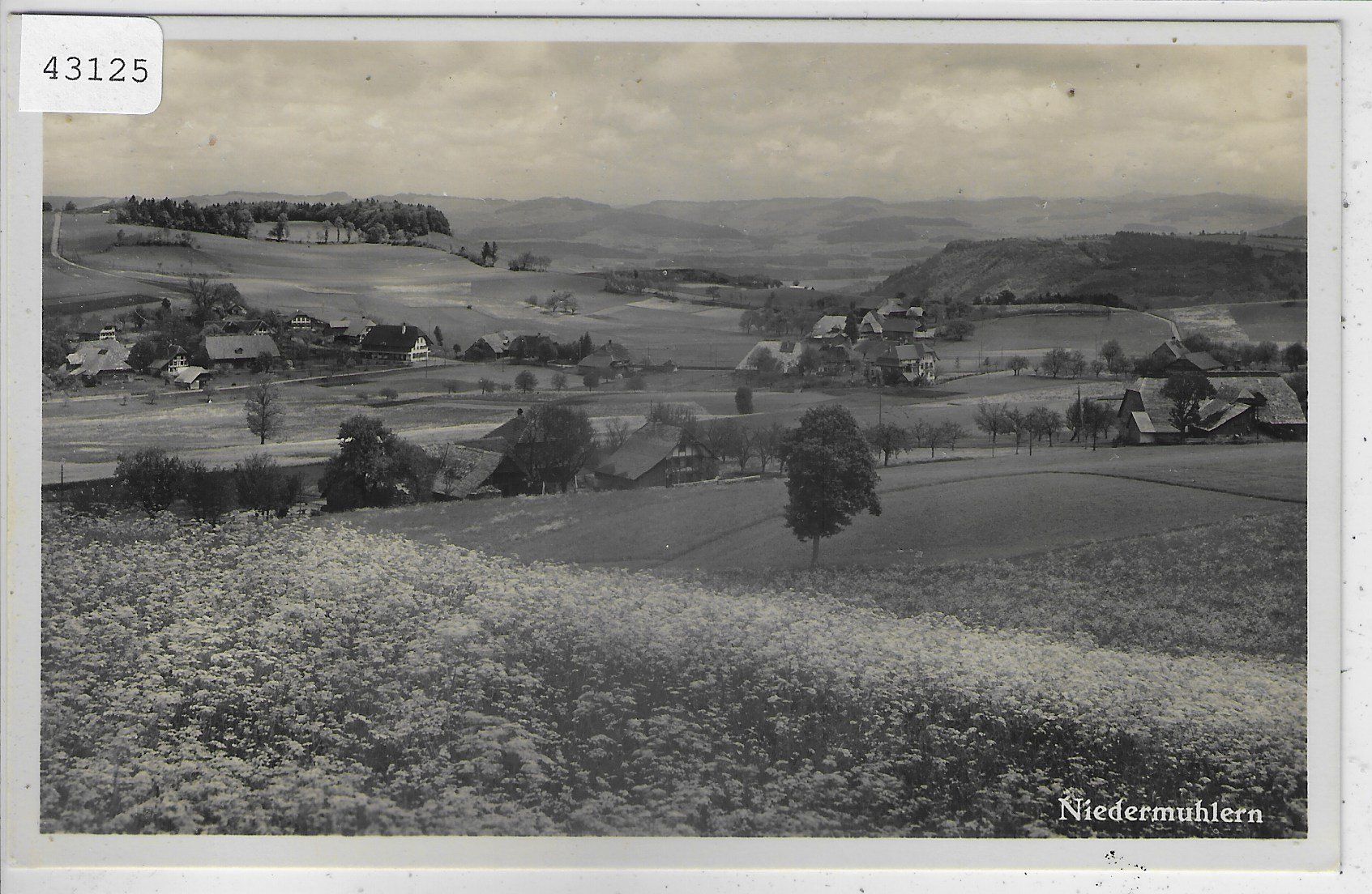 Cartoline postali: Niedermuhlern - Generalansicht – Usato da Ettingen venduto da Kartenplanet
