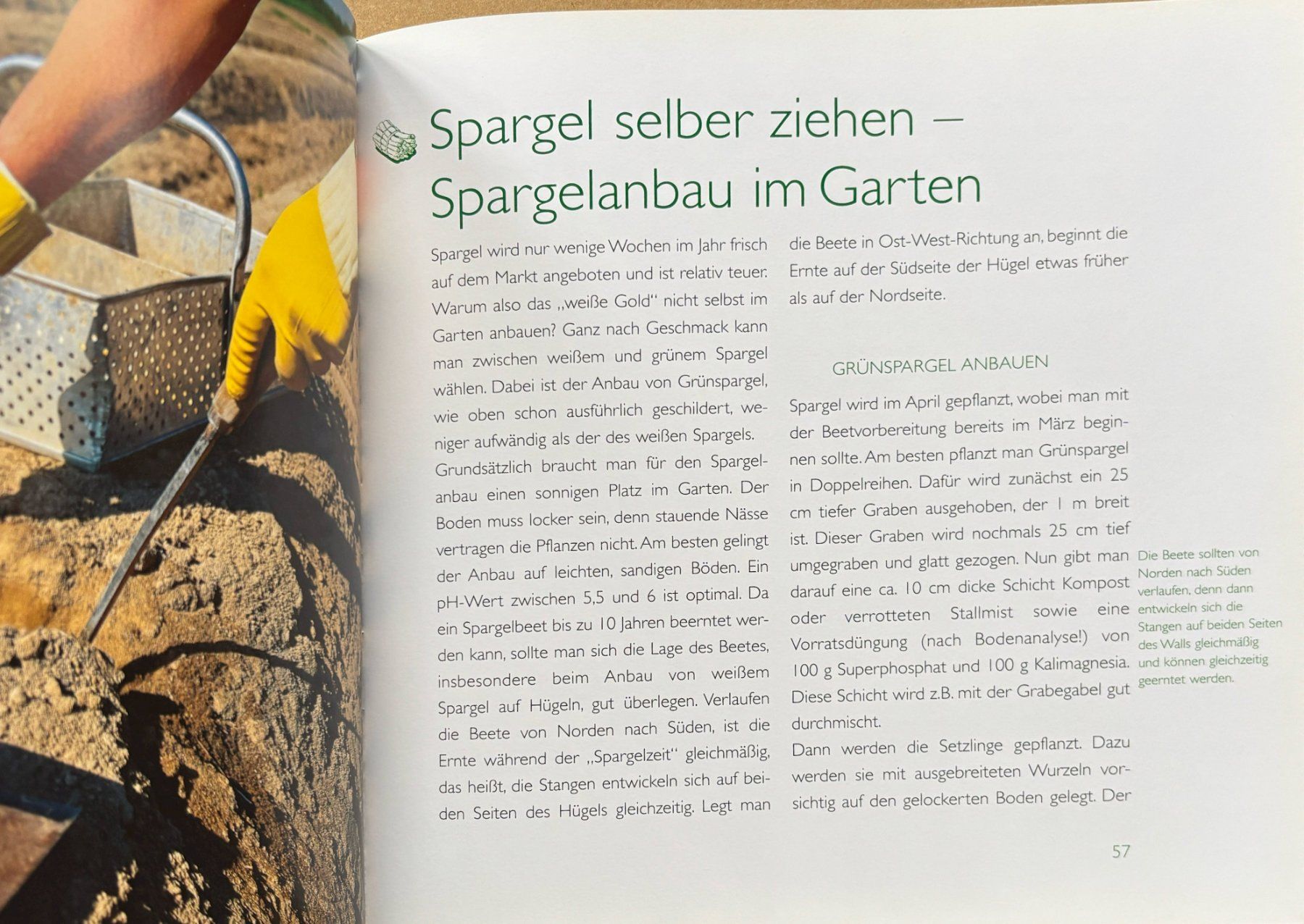 Libri: Kultbuch Spargel – Nuovo (secondo la descrizione) da Sarnen venduto da Livres 5