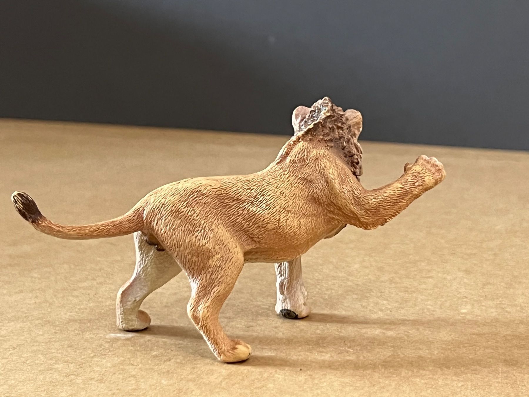 Schleich Statuette: Schleich 14374 Junglöwe Löwe – Nuovo (secondo la descrizione) da Ennetbaden venduto da mapa05 3