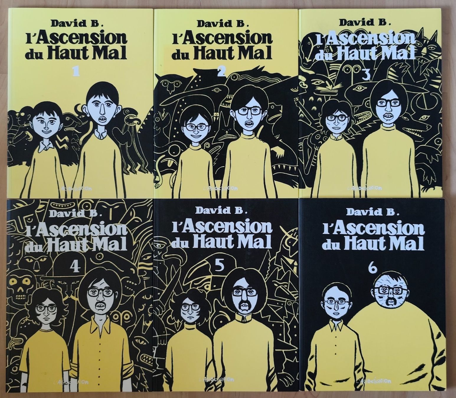 Fumetti: David B. L'Ascension du Haut-Mal – Usato da Delémont venduto da antioque 1
