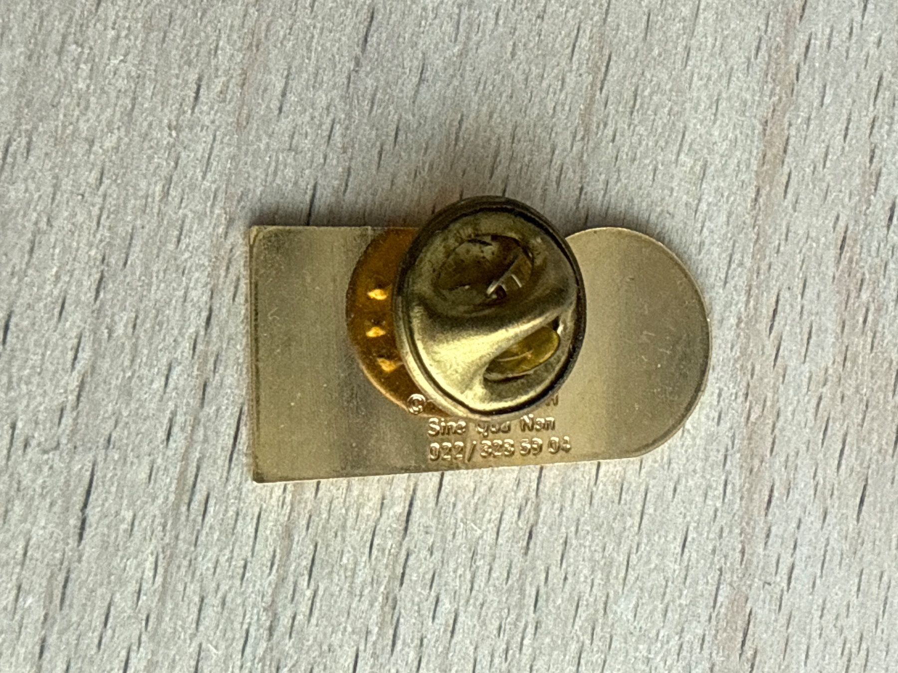 Placchette & Badge: Pin Telethon Schweiz – Usato da Glattbrugg venduto da Schweigmatt 1