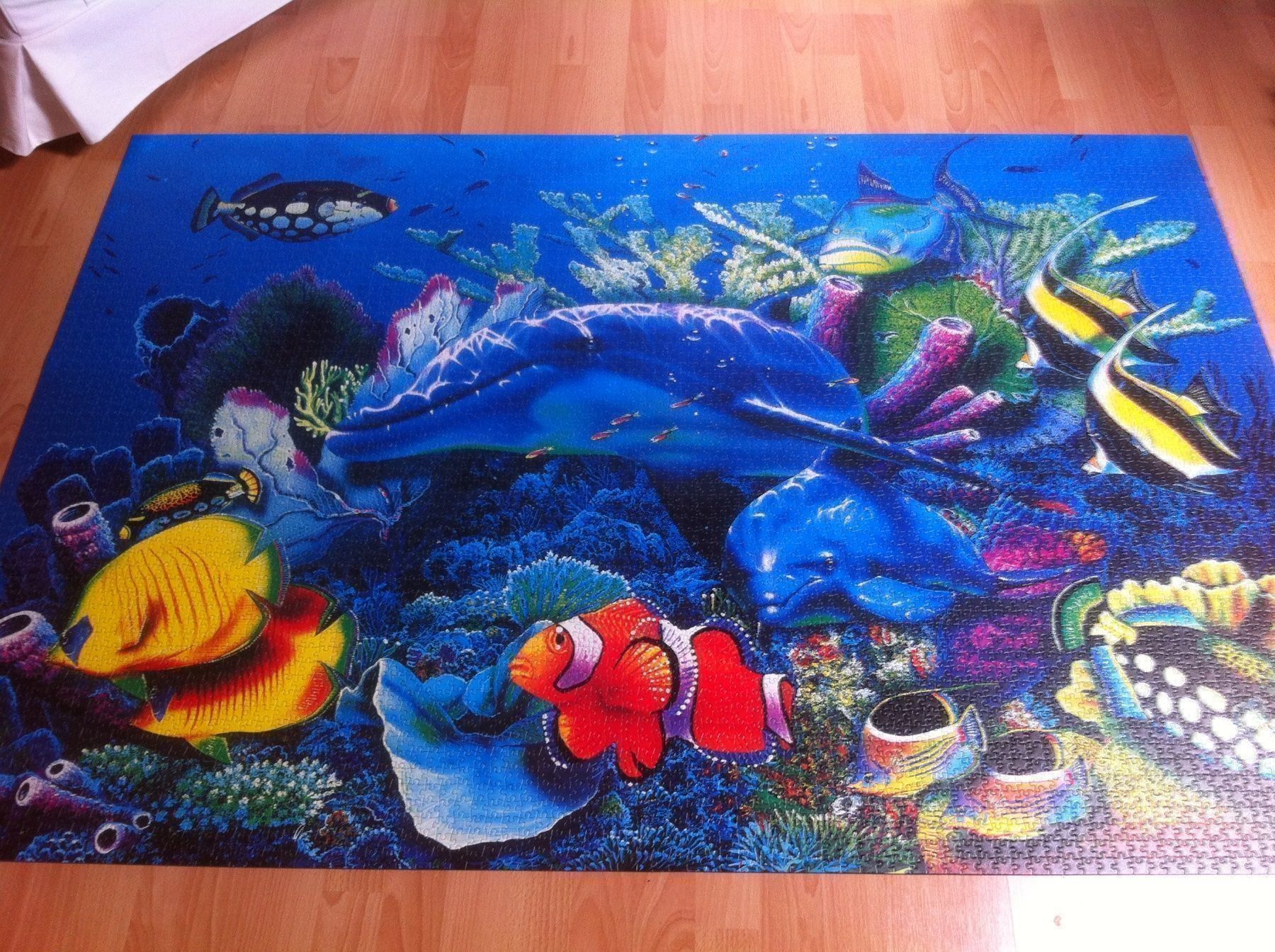 Clementoni Puzzle: Clementoni Puzzle – Usato da Widnau venduto da stiinli 3