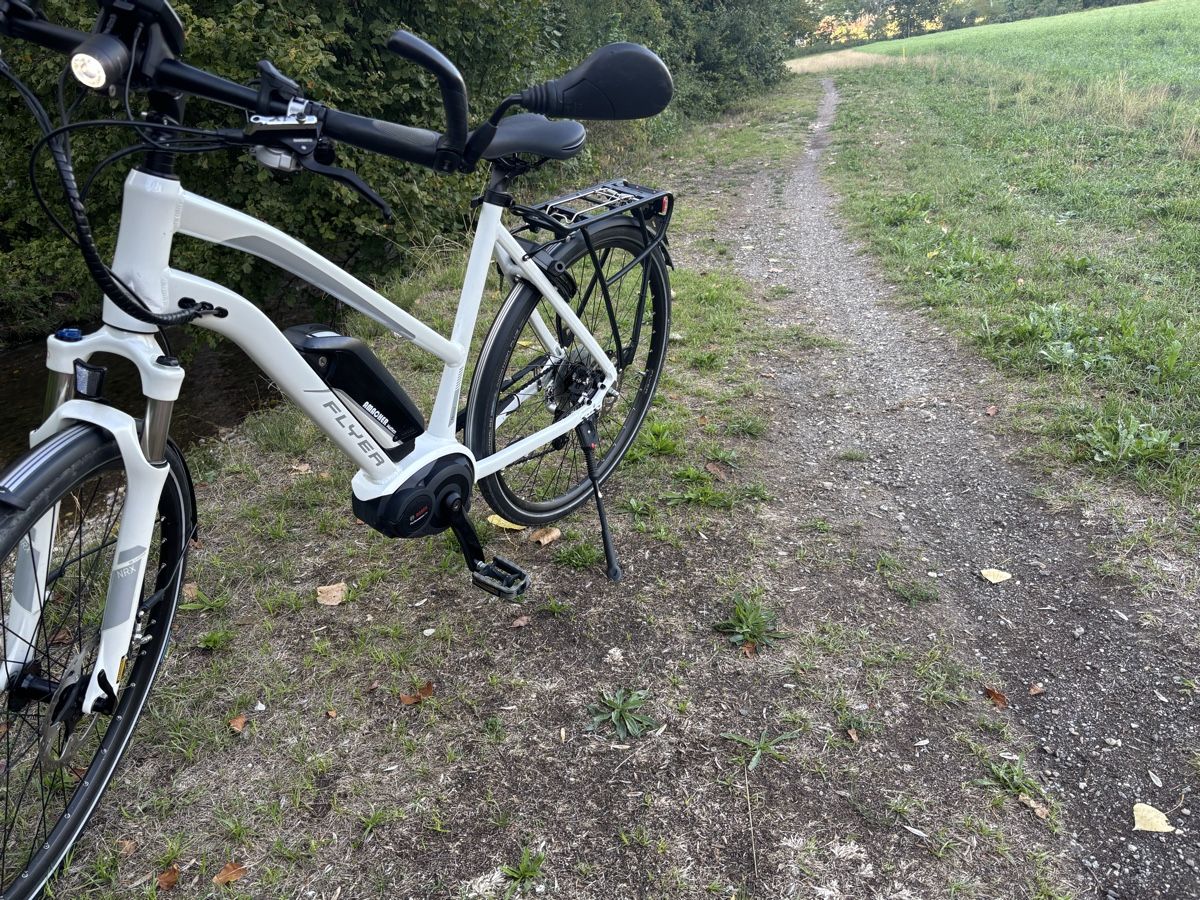 Flyer Vélos: Flyer 45km/h Mit Bosch Motor – D'occasion à Kleindietwil par Hermi2017 1