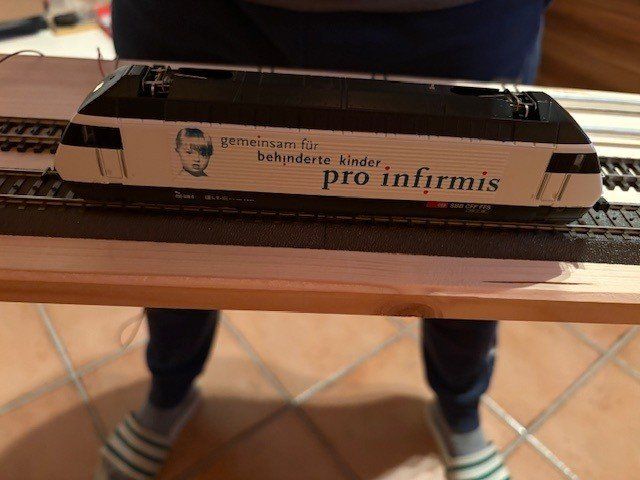 Hag Modellini di ferrovie: HAG Re 460 H0 WS Digital Infirmis – Usato da Regensdorf venduto da Basc 6
