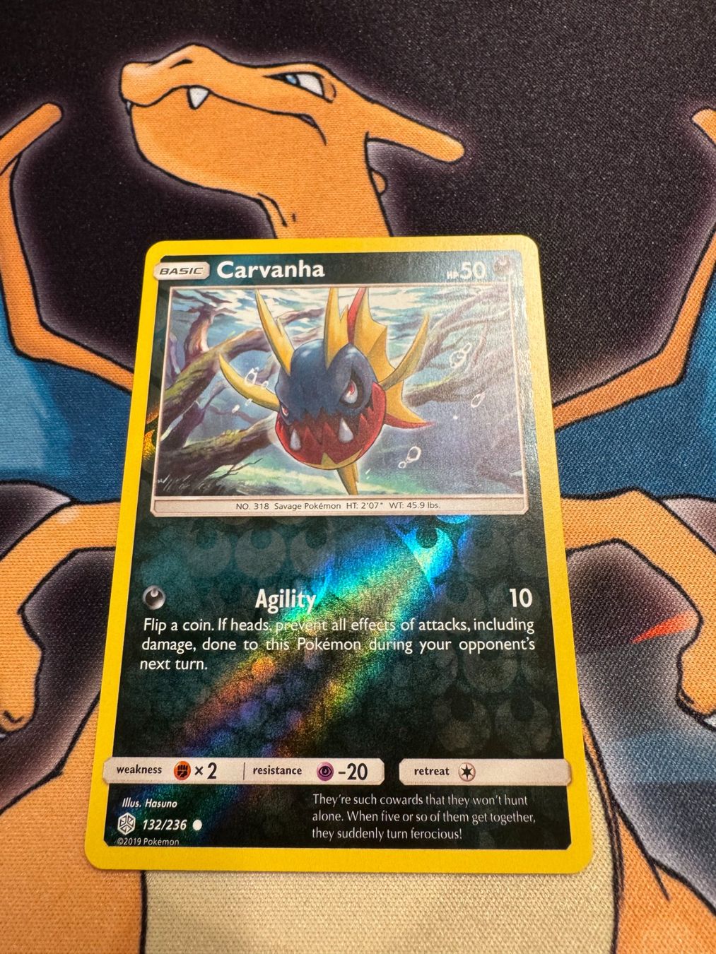Pokémon Carte collezionabili: Carvanha (CEC 132) - Reverse Holo - Cosmic Eclipse – Nuovo (secondo la descrizione) da Bülach venduto da Pfrenzel