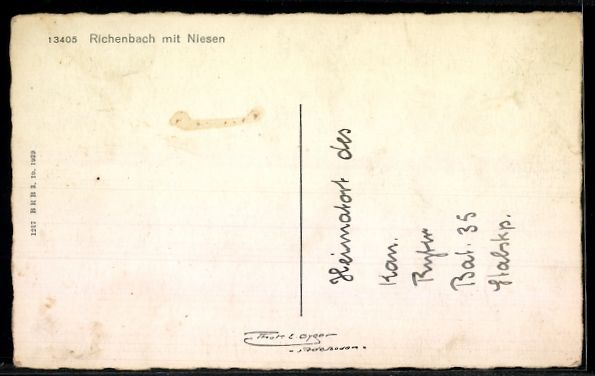Cartes postales: AK Reichenbach, Totalansicht mit Niesen – D'occasion à Berlin par bartko-reher 1