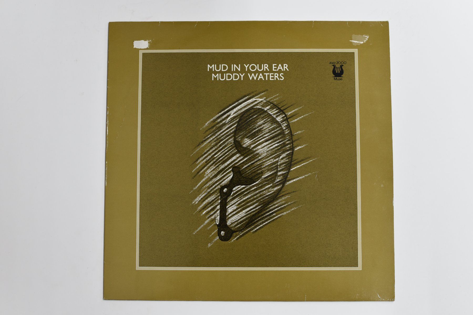 Dischi in vinile: Schallplatte Muddy Waters - Mud In Your Ear – Usato da Glis venduto da AtelierManus