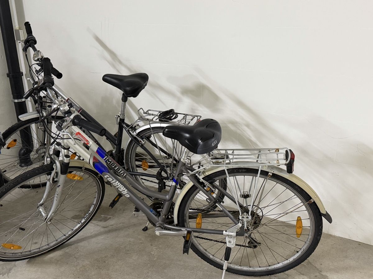 Biciclette: 2 Fahrräder – Usato da Mauren venduto da sim_wd9w