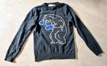 PULLOVER PULLI M 38 MOTIV TOP ZU JEANS HOSE ROCK