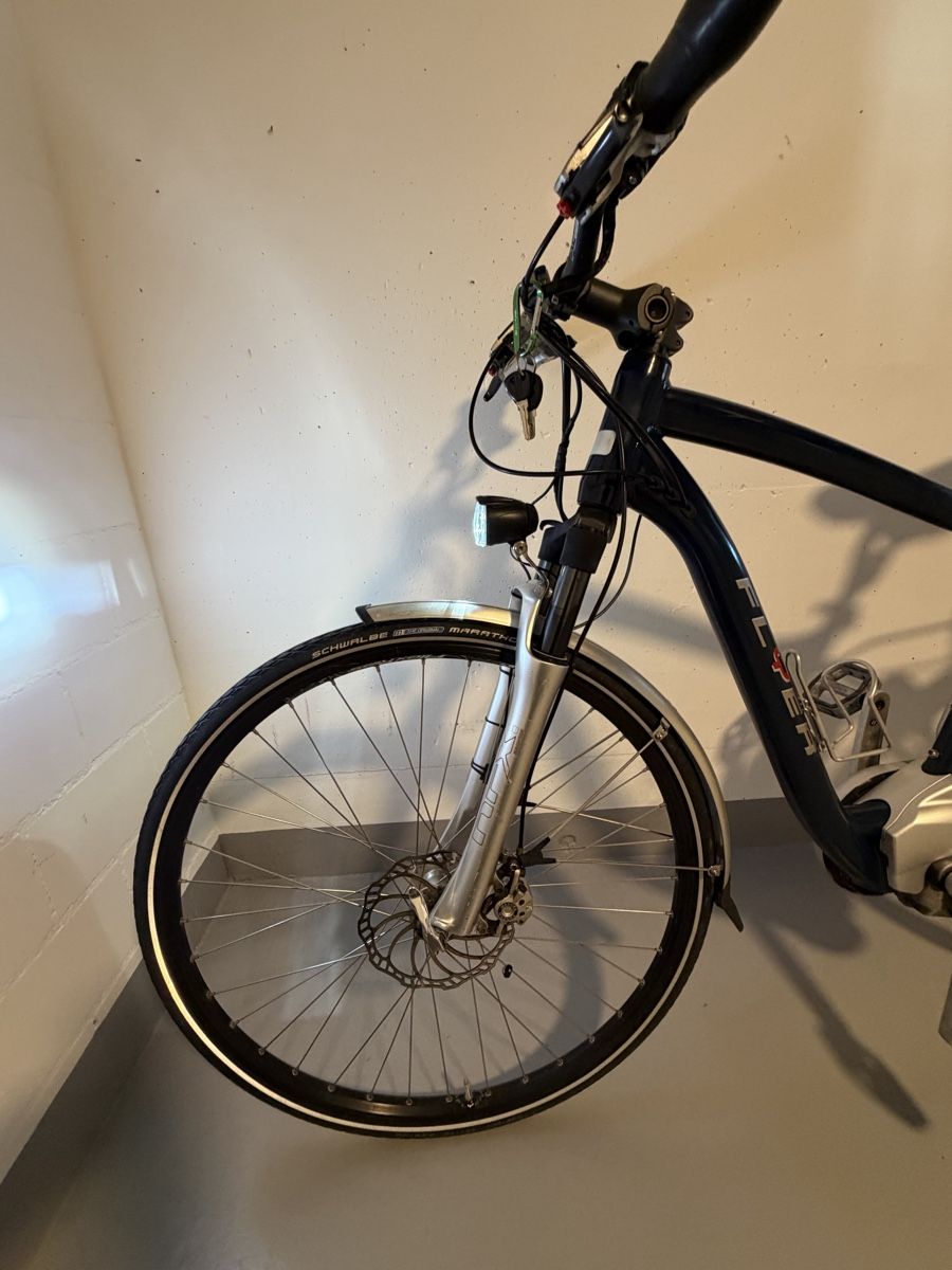 Flyer Biciclette: Elektrovelo Flyer  – Usato da Kägiswil venduto da rezha 6