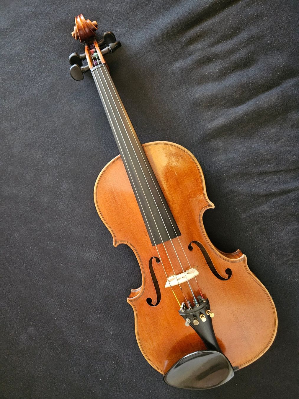 Strumenti musicali: Hermann Meinel-Violine 4/4 – Usato da Belp venduto da Dense4