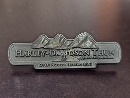 Harley-Davidson Pin
