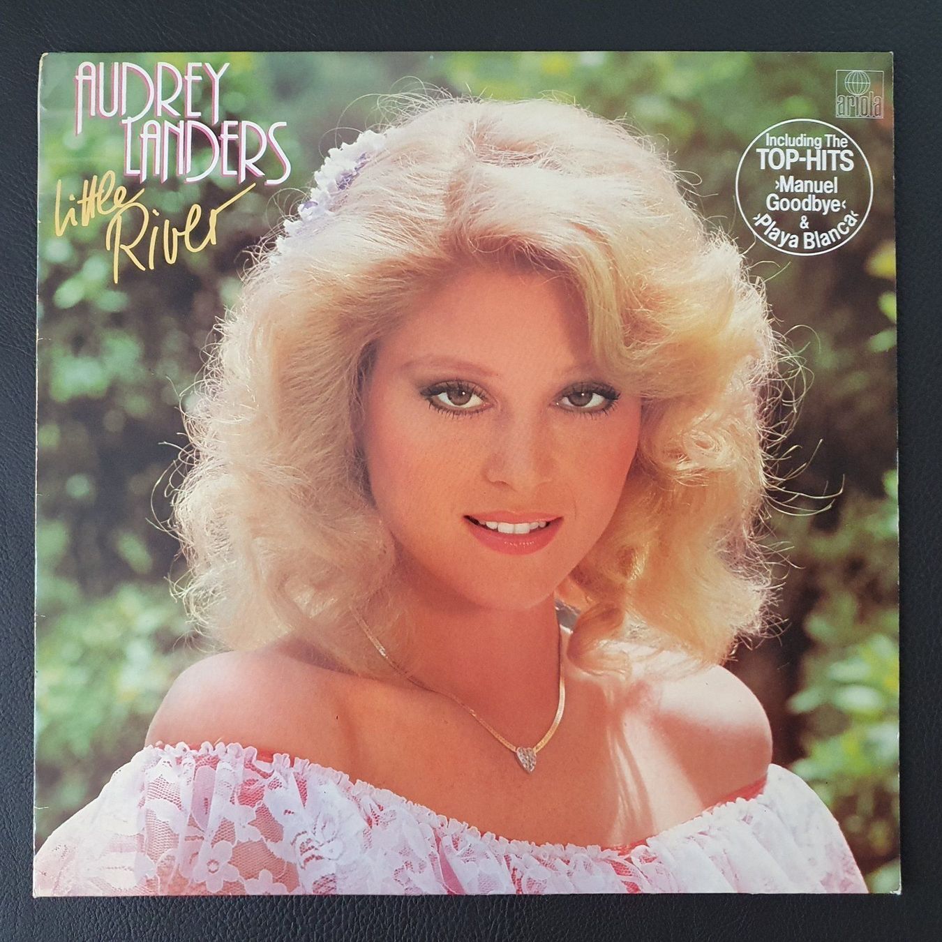 Dischi in vinile: LP - Audrey Landers "Little River" – Usato da Dübendorf venduto da Senita3