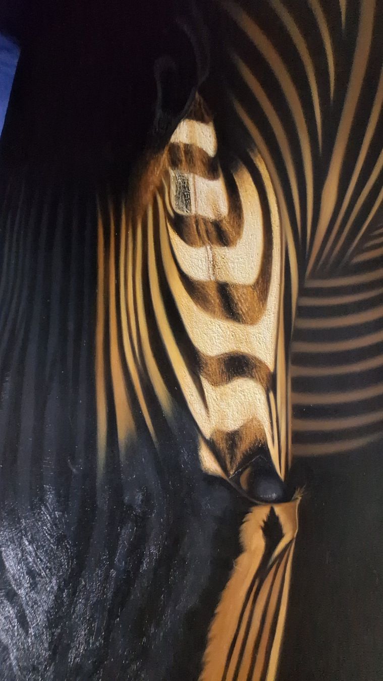 Poster & Bilder: Zebra Leinwand ca. 150x75 cm – Gebraucht aus Wettingen von clue 1