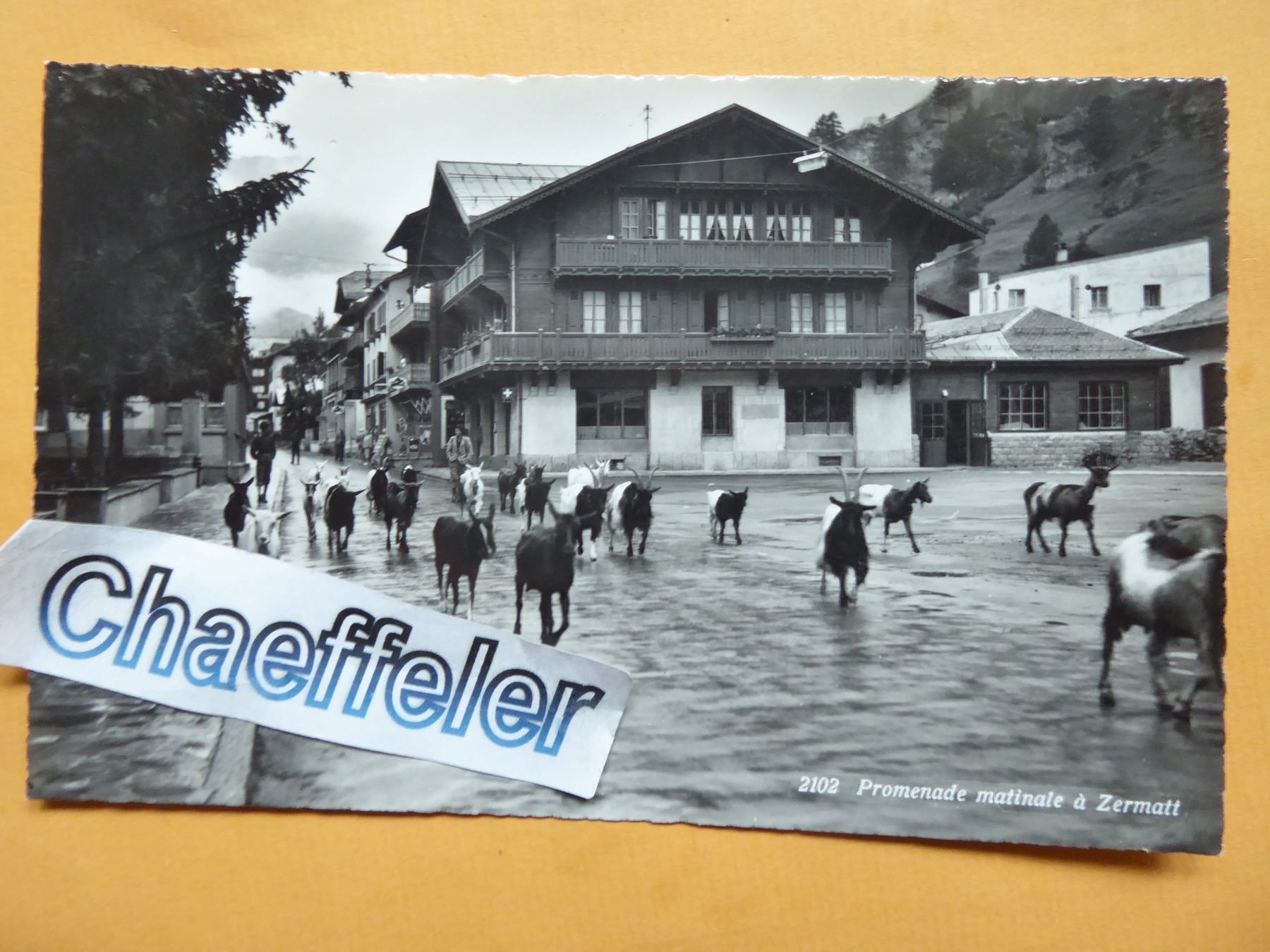 Cartoline postali: 2102 Promenade maatinale à Zermatt. – Nuovo (secondo la descrizione) da Zürich venduto da Chaeffeler