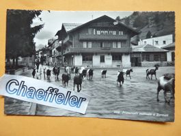 2102 Promenade maatinale à Zermatt.