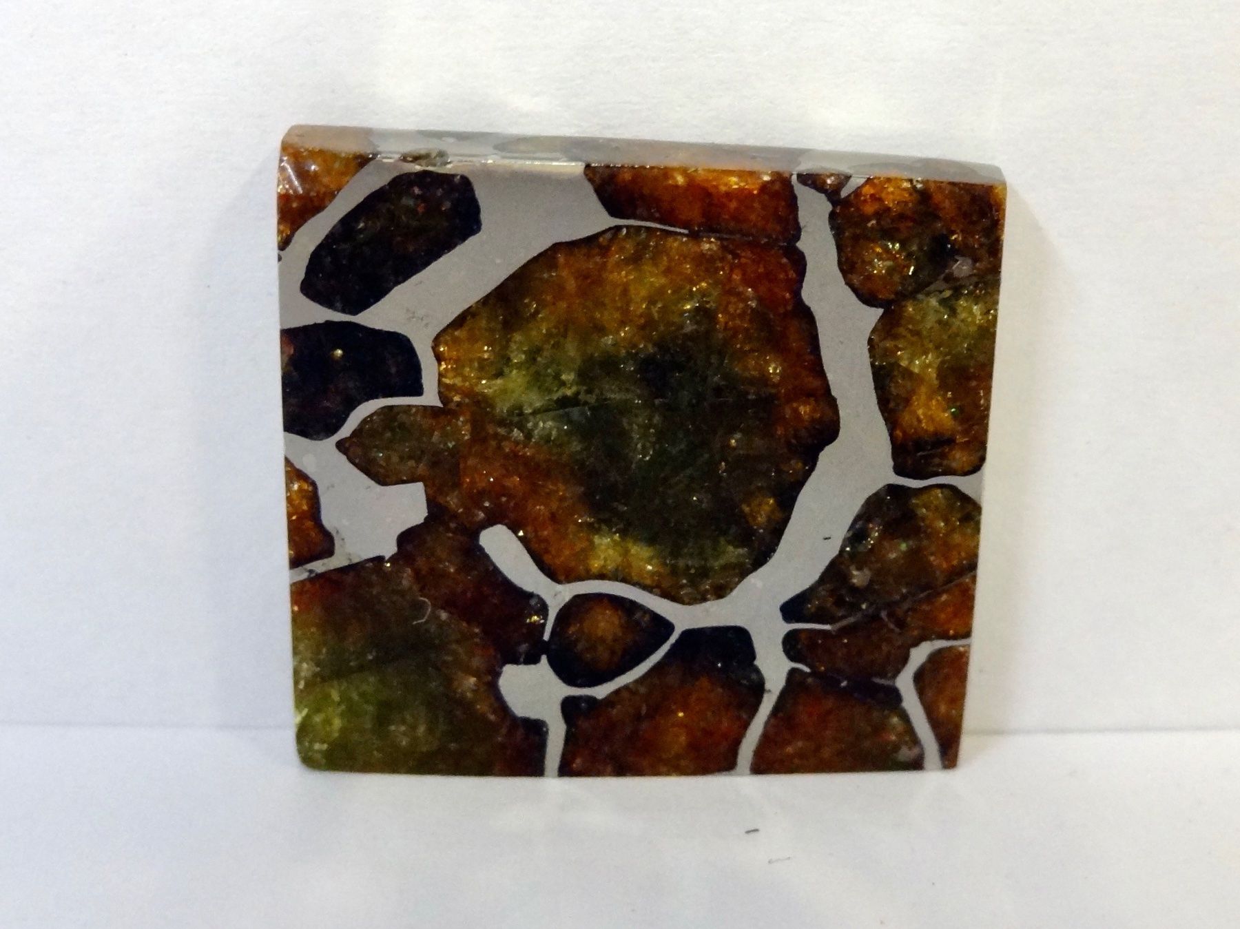 Minéraux & Lithothérapie: Meteorit PALLASIT Eisen-Stein-Meteorit IMILAC CHILE – Neuf (Voir description) à Kerzers par djstarsky73 2