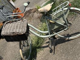 Holländischer Fahrrad zu verkaufen 