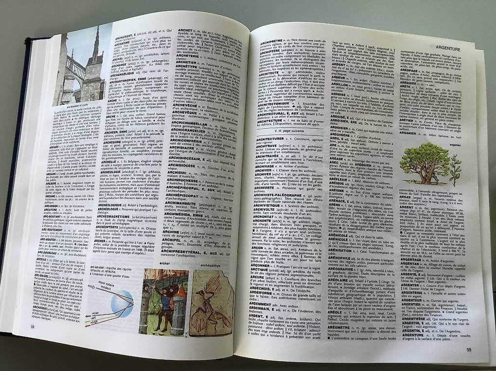 Libri: Dictionnaire Larousse sélection – Usato da Icogne venduto da Juka 3