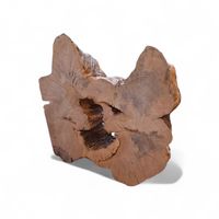 Holzscheibe Skulptur Katzenkopf 90 x 85 x 20 cm, 45 kg