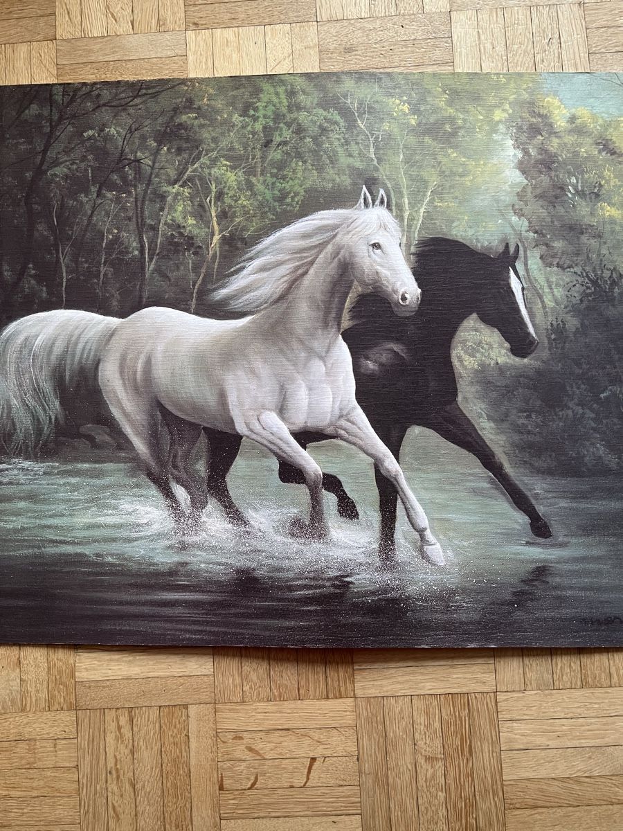 Foto & Immagini: Bild Pferde 50x70 cm – Usato da Winterthur venduto da Fredy972 2