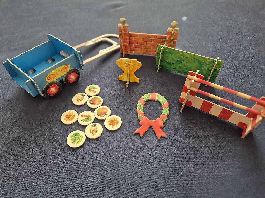 Giochi: Tiptoi Reiterhof – Usato da Heimisbach venduto da dstli 4