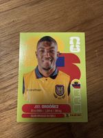 Panini Fifa ECU 8