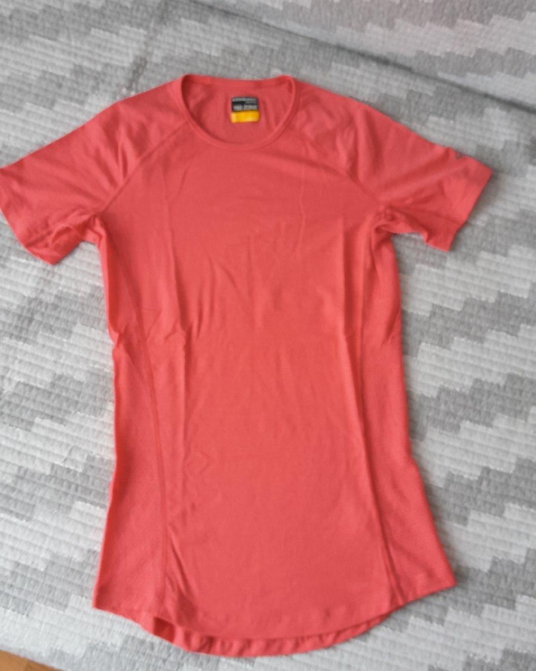Icebreaker T-shirt: Icebreaker Merino Shirt – Usato da Innerthal venduto da System_of_a_down 1