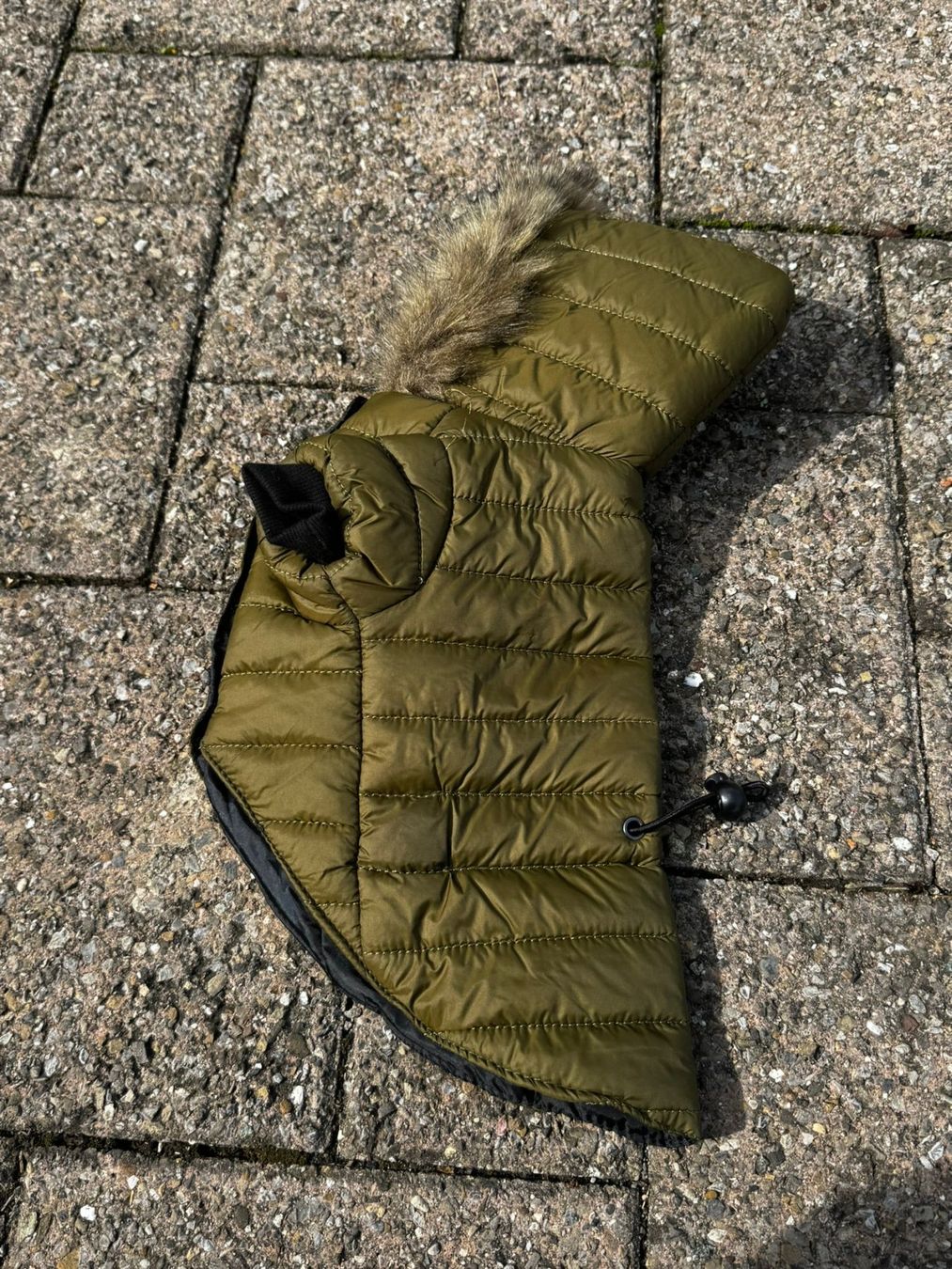 Bekleidung: Hundemantel olivgrün – Gebraucht aus Egg b. Zürich von Brocki_Insel_Egg 5