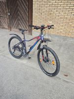 Mountainbike für jedes Gelände, Top Zustand, Winter-Deal!
