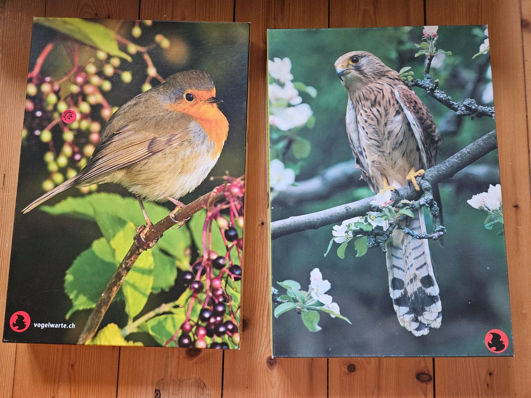 Puzzle: 2 Vogelwarte Puzzle 1000 Teile, Falke... – Usato da Rifferswil venduto da fle_5nqr