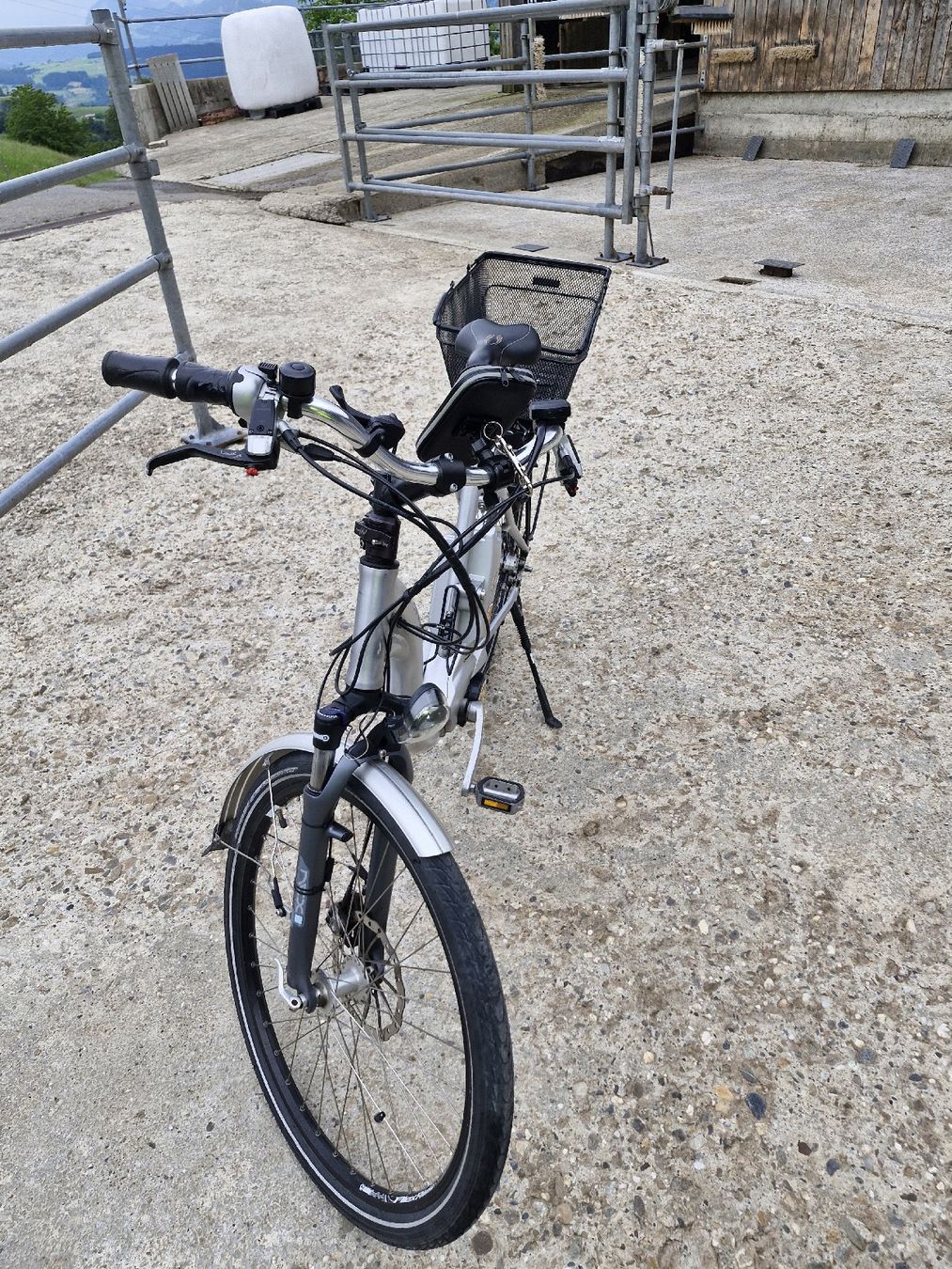 Flyer Biciclette: flyer hs 45 kmh – Usato da Menzberg venduto da elm_q9ff 3