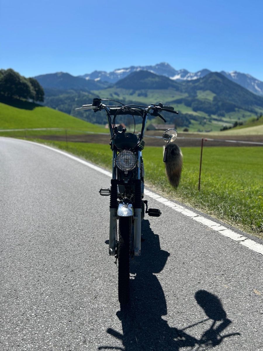Pony Ciclomotori: Pony GTX 521 – Usato da Eschlikon TG venduto da MaEl_G 6