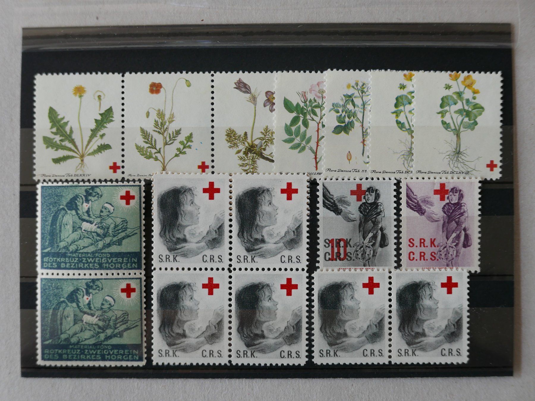 Tutti i francobolli: SAMMLUNG REKLAMEMARKEN ROTES KREUZ – Usato da Balgach venduto da Zwischenraum 3