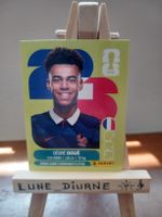 Sticker Panini FIFA Désiré Doué FRA 17