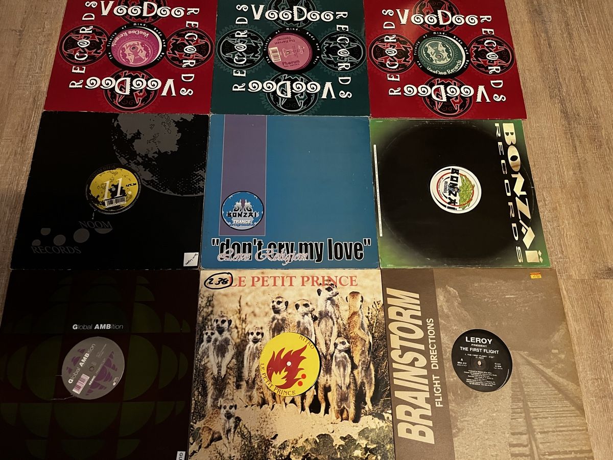 Dischi in vinile: 50 trance hardtrance vinyls – Usato da Obstalden venduto da Maesae 1