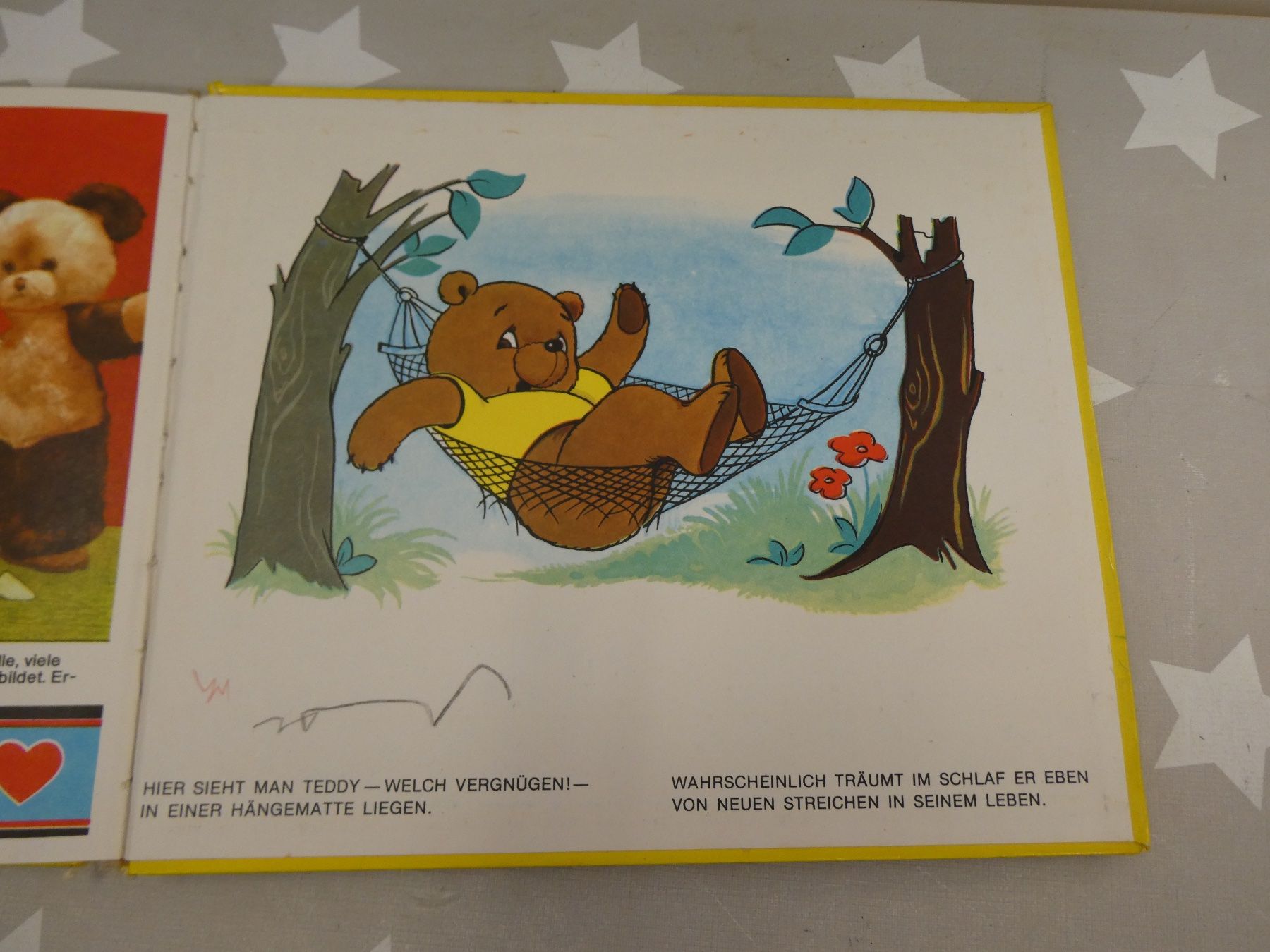 Libri: Buch: Teddys Abenteuer – Usato da Rafz venduto da Powacaddy 9