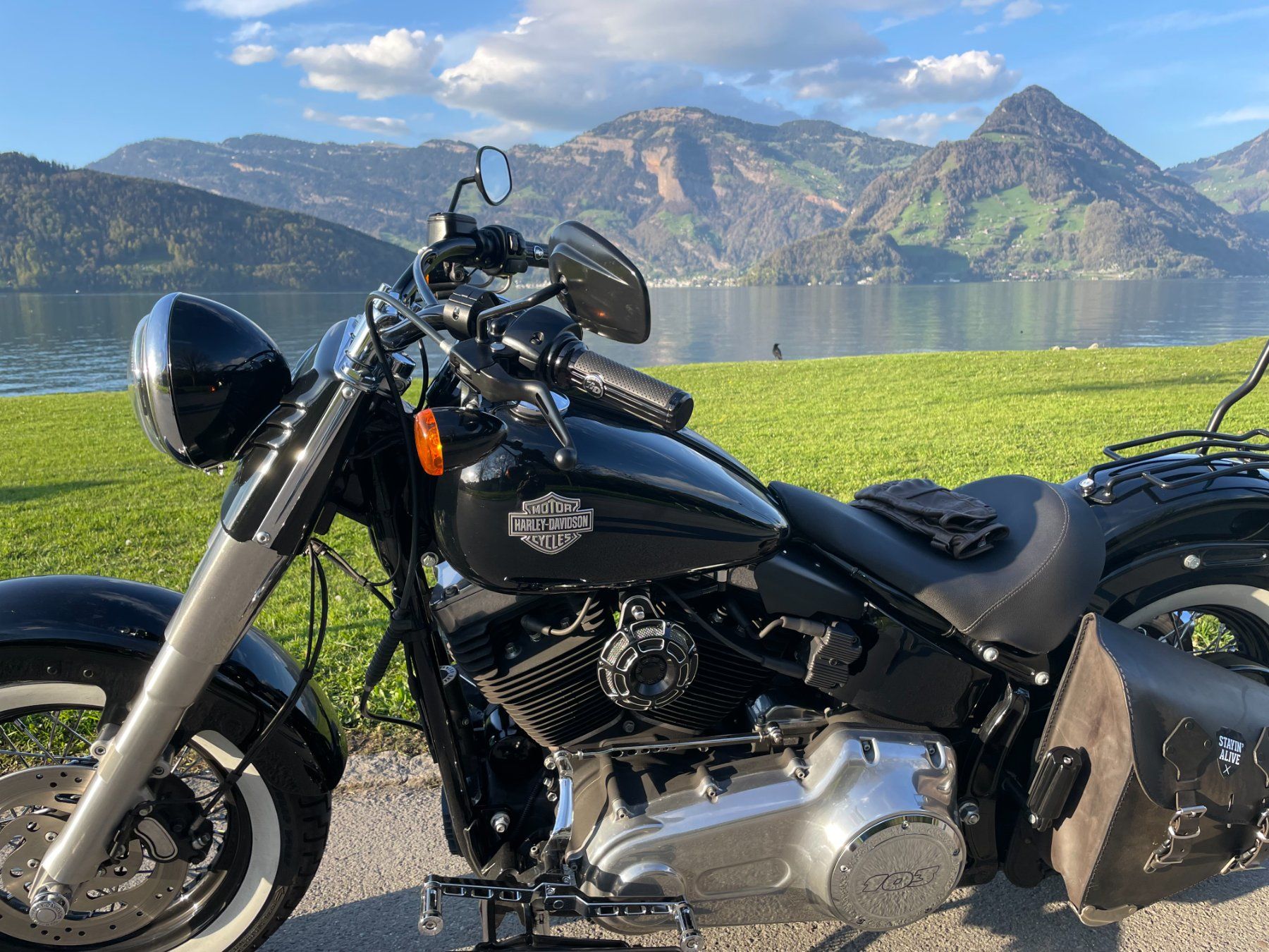 Harley-Davidson Chopper: HARLEY-DAVIDSON FLS Softail Slim ABS – Usato da Stans venduto da ADC_1 6