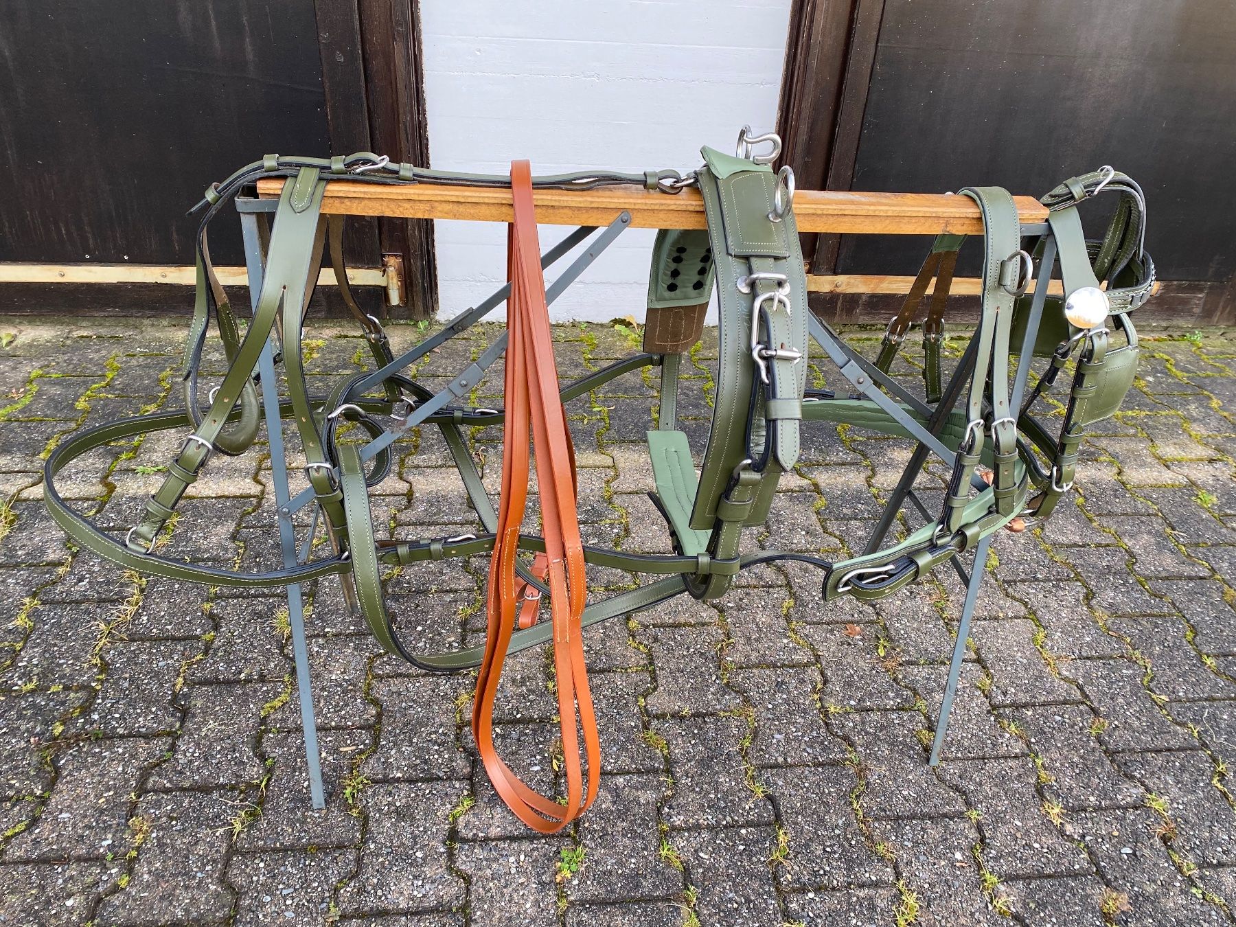 Carrozze: schönes dunkelgrünes Shettygeschirr – Usato da Feldbach venduto da Fea1 3