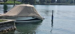 Sea ray