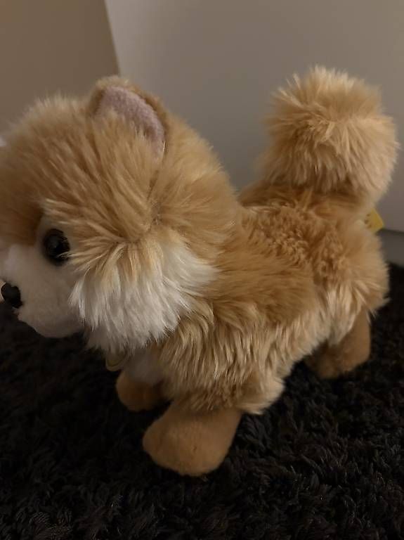 Giocattoli: Plüsch Hund  – Usato da Boswil venduto da sel_f9r5 2