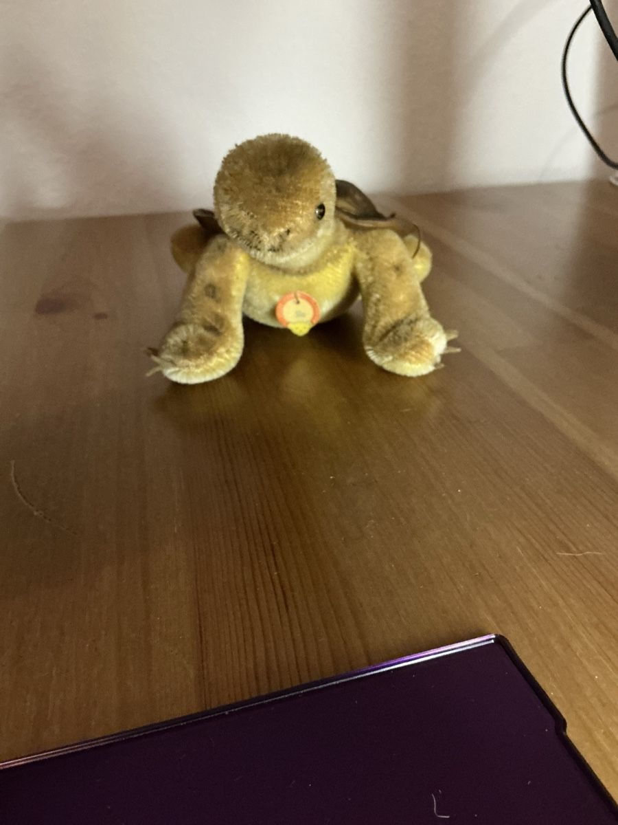 Steiff Giocattoli: Steiff Sol ( Schildkröte) – Usato da Basel venduto da S.Wehrli72